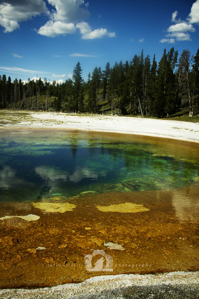 An image of the hot spring in Yellowstone called "Beauty Pool".