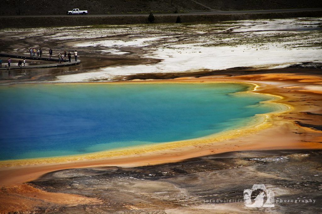 2011-08-04-006-JoFoo-Wildlife-Photography-Great-Outdoors-Yellowstone-Landscape-The-Grand-Prismatic WR
